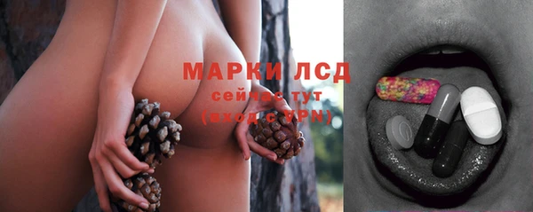 прущая мука Вяземский