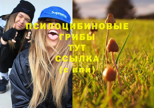 прущая мука Вяземский