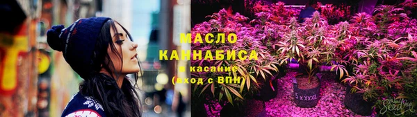 прущая мука Вяземский