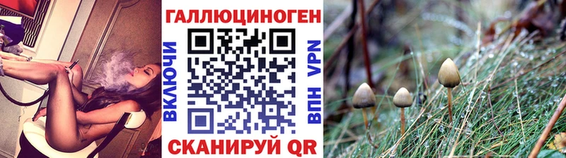 Псилоцибиновые грибы GOLDEN TEACHER  Купить  Бабаево 